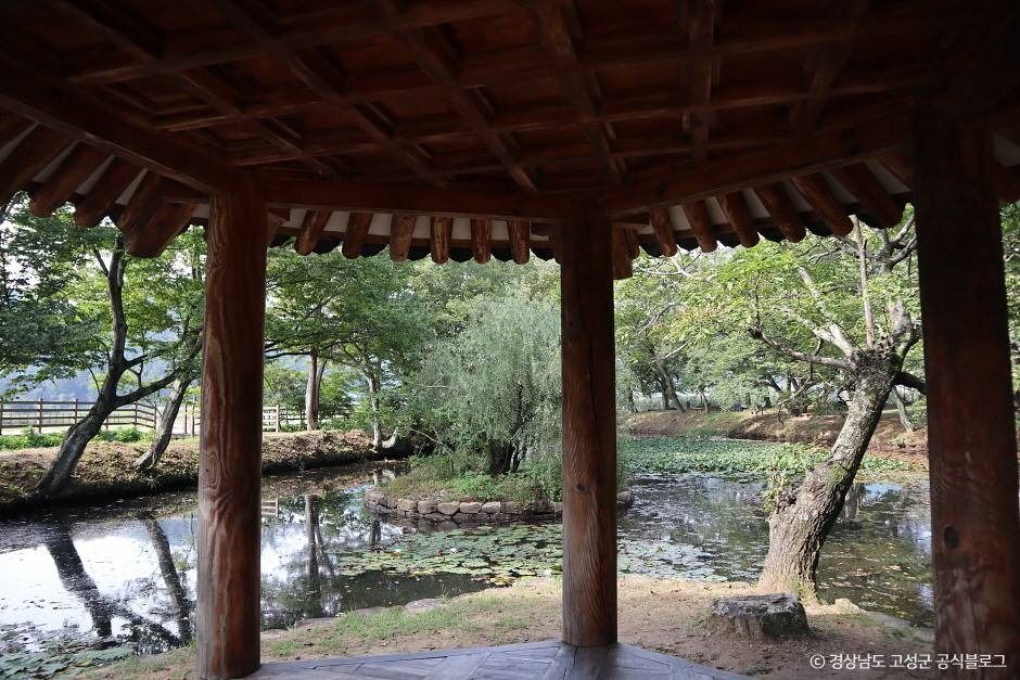 고성 장산숲