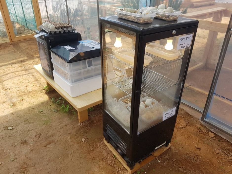 나눔농장(파주)