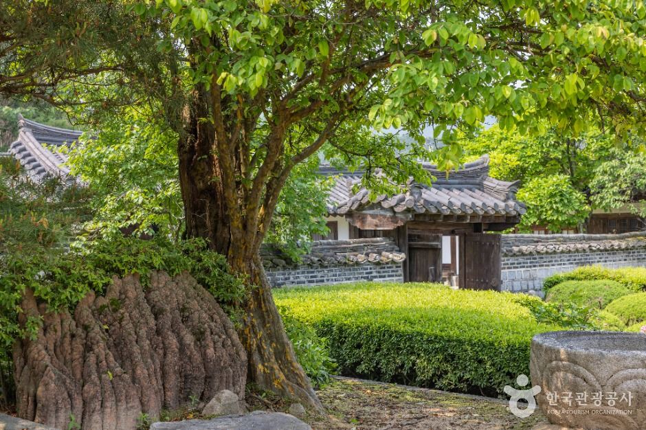 청주_운보의 집 (20)
