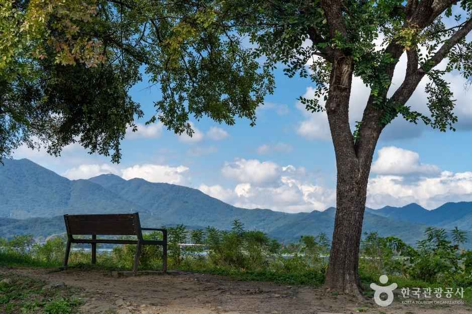 팔당물안개공원