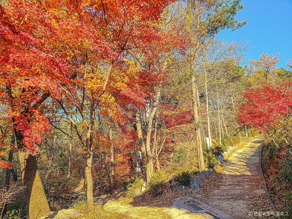 비봉산(안성)