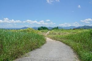 김해_술뫼생태공원 (4)