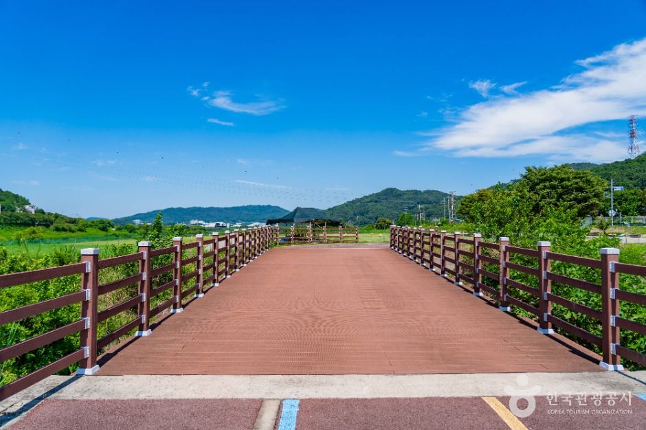 부용체육공원