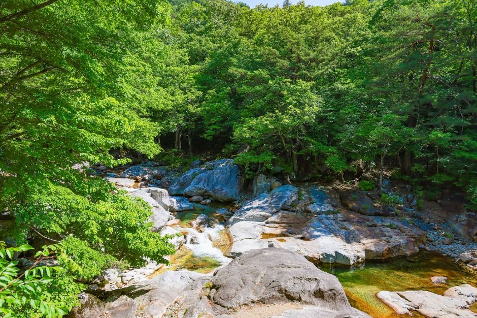 산청_대원사계곡길 (5)
