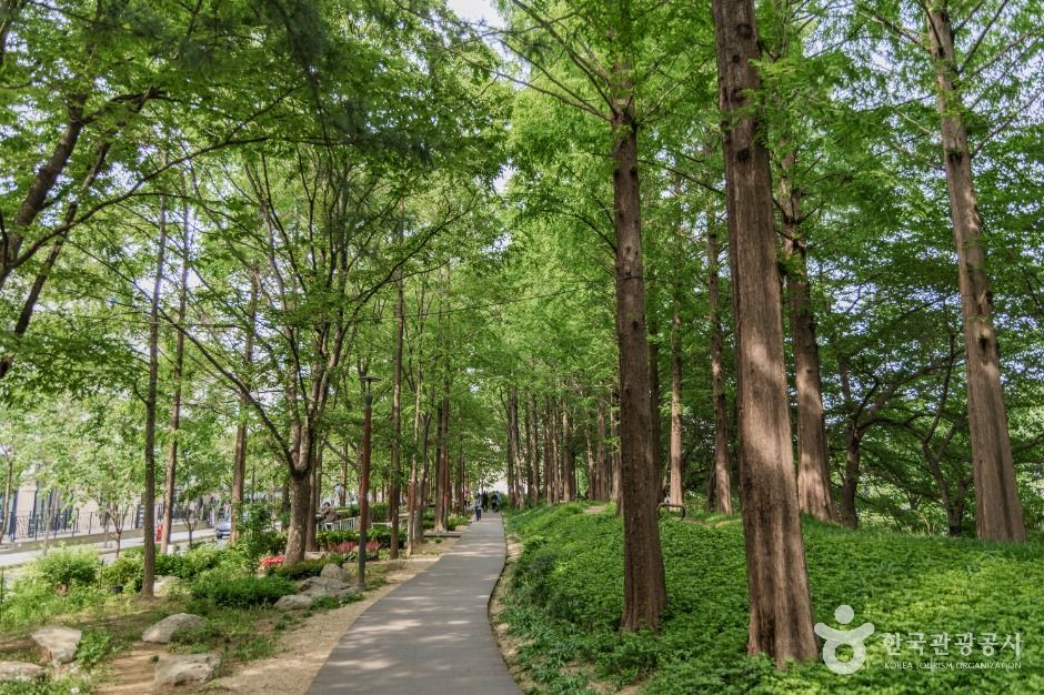 양재천 근린공원