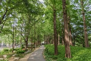 서울_양재천 근린공원 (4)
