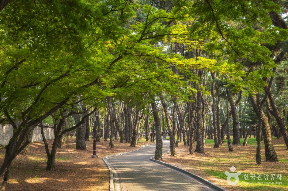 경주 대릉원 일원