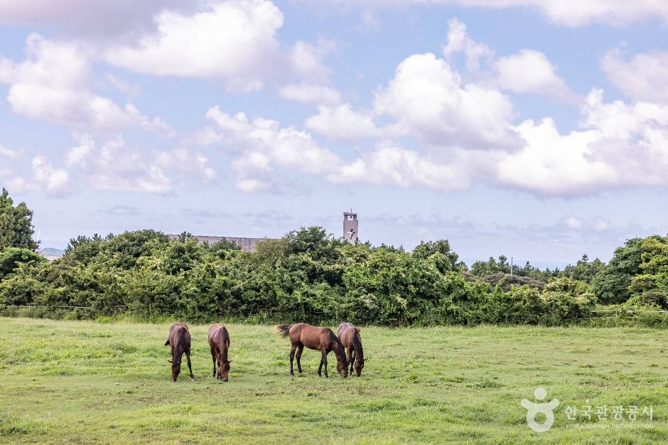 thumbnail-새미은총의동산-1