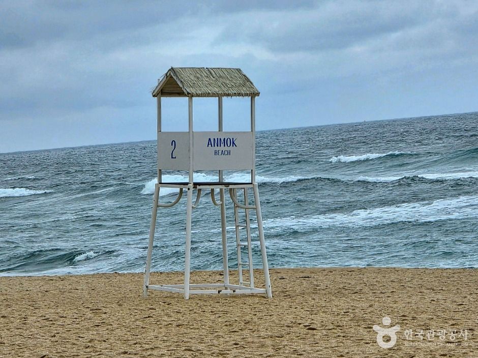 thumbnail-강릉커피거리-23