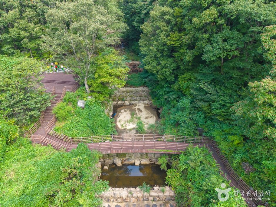 팔공산금화자연휴양림