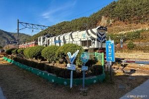 태백_백두대간협곡열차(V-트레인) (6)