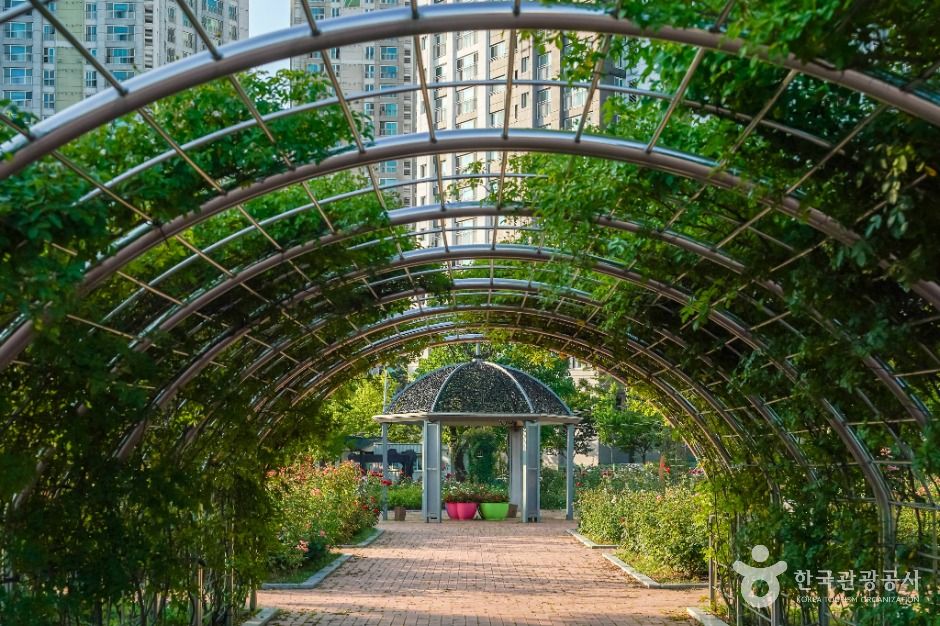 thumbnail-장미공원(창원)-7