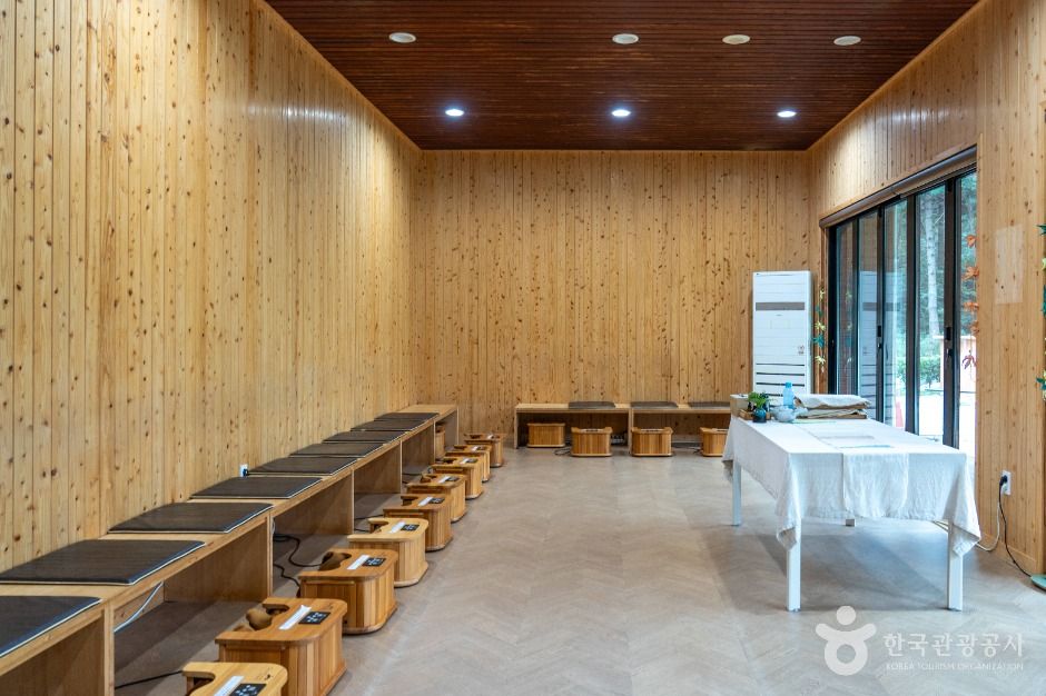 서천 치유의 숲