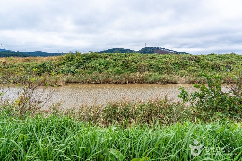 서산시_중왕리수로 (5)