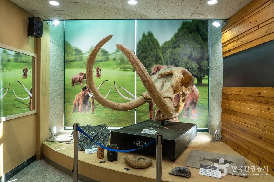 제천_별새꽃돌과학관 (3)