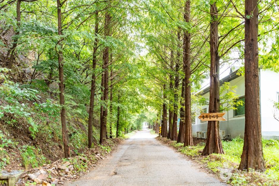 아산 대통령마을(농촌전통테마)