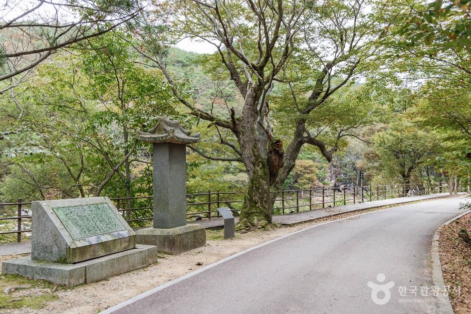 화양서원 묘정비