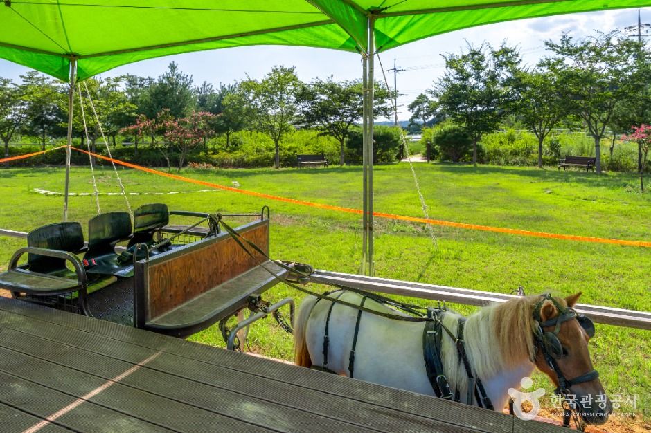 영천_말문화체험관 (1)