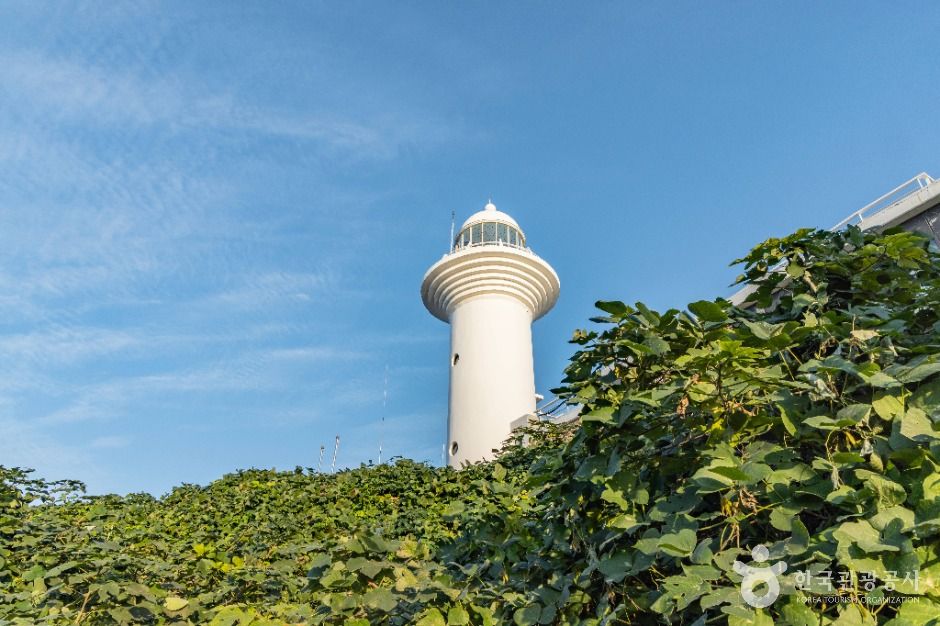 울릉도등대(태하등대)