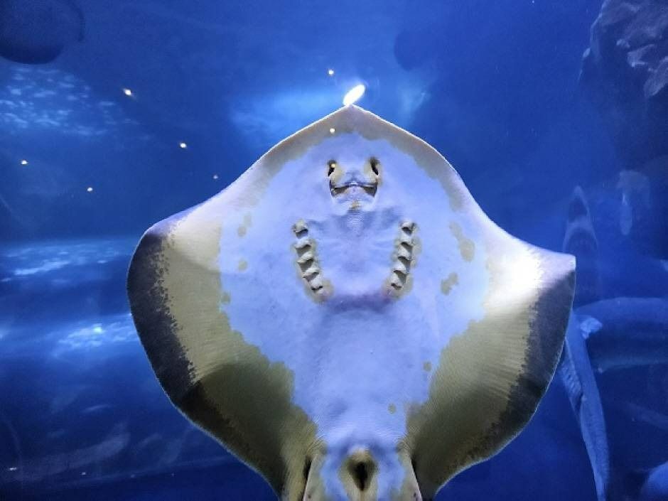 전라남도해양수산과학관