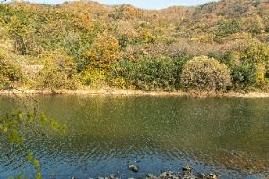 화순_영벽정 (8)