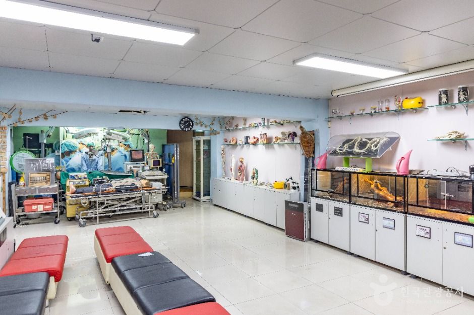 서울_한생연 생명과학박물관 (10)