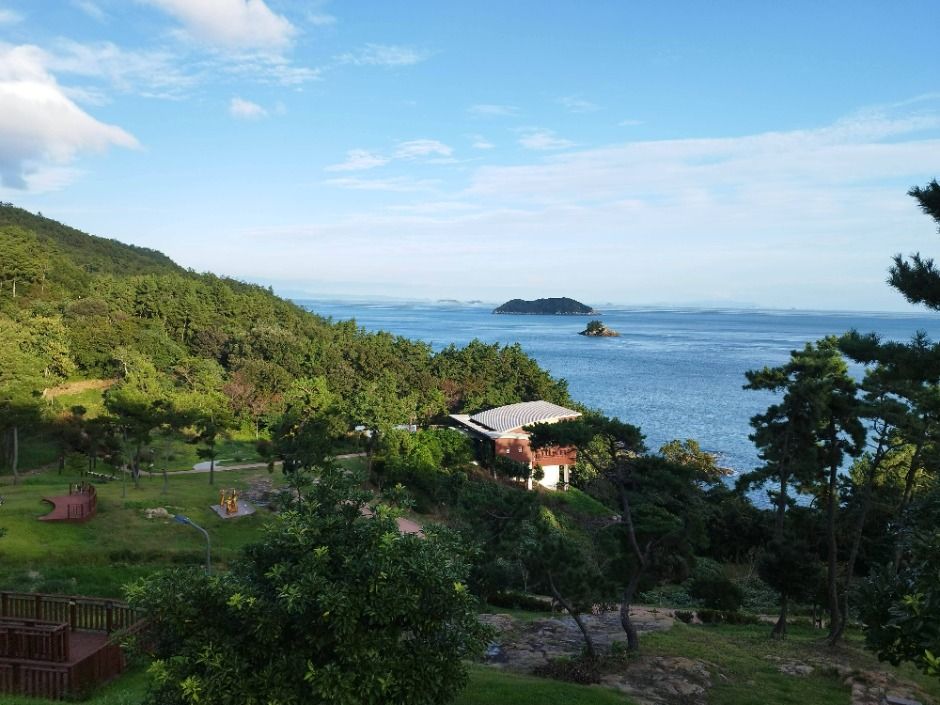 thumbnail-국립진도자연휴양림-0