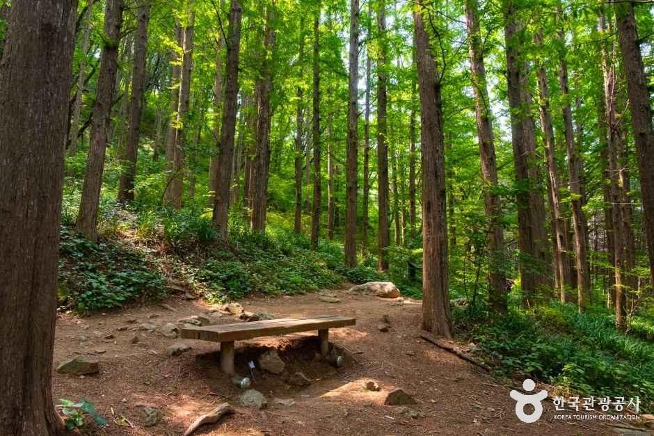 thumbnail-서대문 안산(안산자락길)-7