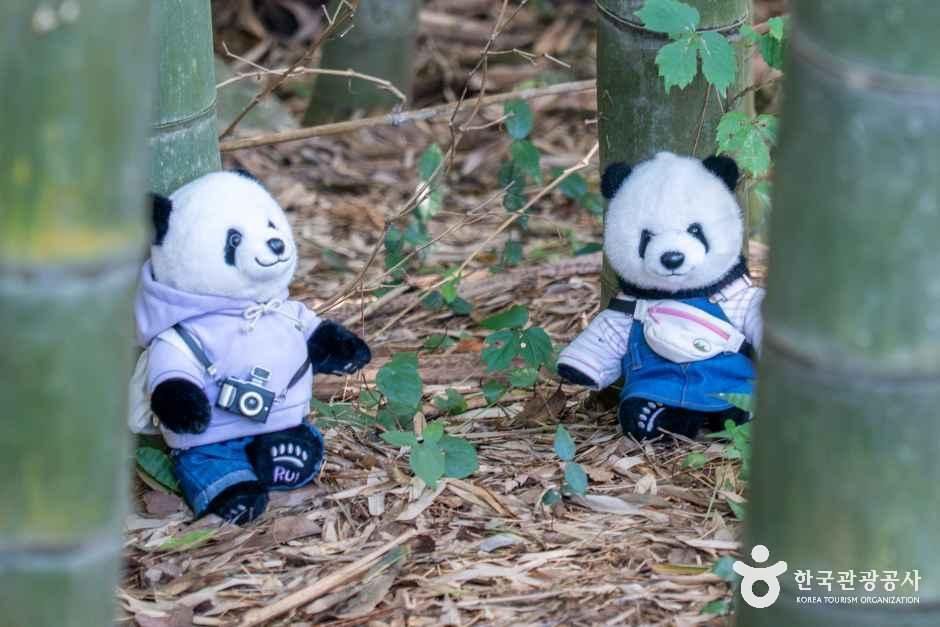 thumbnail-고창읍성-15