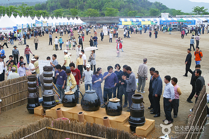 Sancheong Medicinal Herb Festival (산청 한방약초축제)