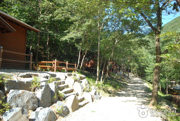 Chilgapsan Recreational Forest (칠갑산자연휴양림)