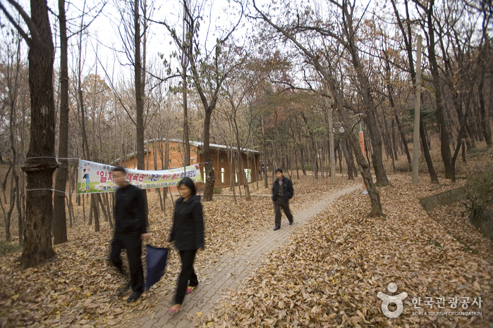 Iljasan Mountain Natural Park (일자산자연공원)