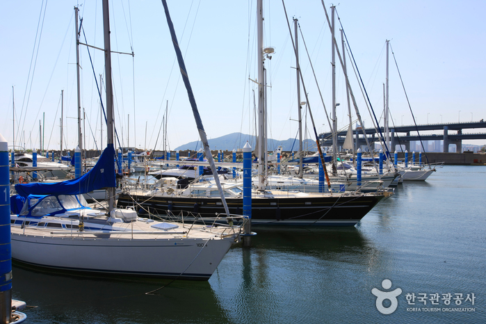 Centre de voile de la baie de Suyeong à Busan (수영만 요트경기장)3