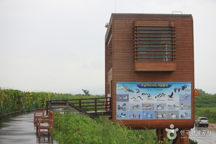 Junam Reservoir (주남저수지)