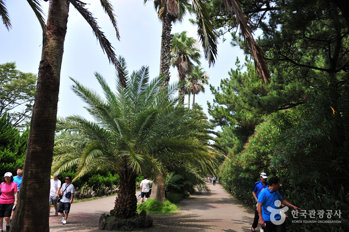Hallim Park (한림공원)