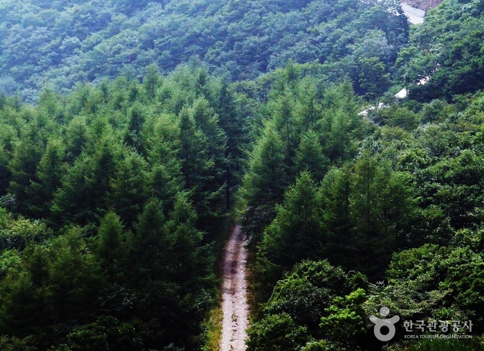 백운산 화절령