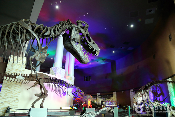 Musée des dinosaures à Haenam (해남공룡박물관)