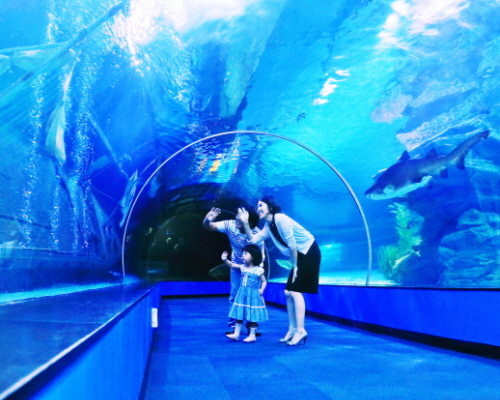 SEA LIFE Busan Aquarium (SEA LIFE 부산아쿠아리움)