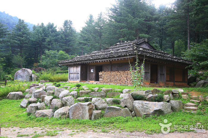 Jatyanggi Purunsup Resort (잣향기푸른숲)