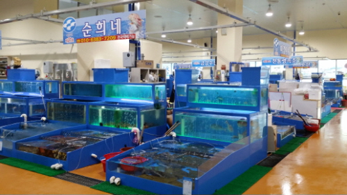 청호활어센터 순희네 (21호)2