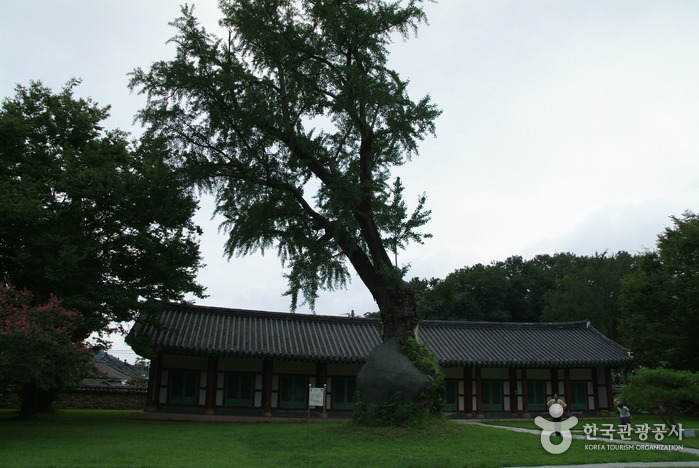 Jeonjuhyanggyo Confucian School (전주향교)