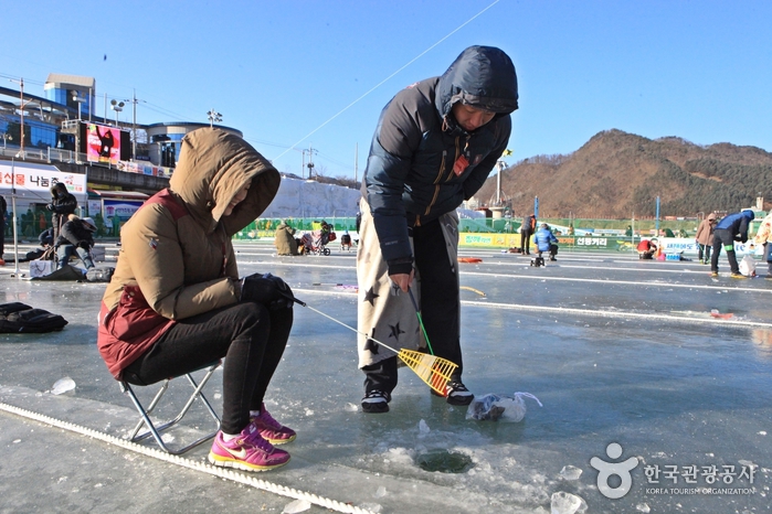 산천어야 어디 있니~ 낚싯대에 집중하는 날카로운 눈빛