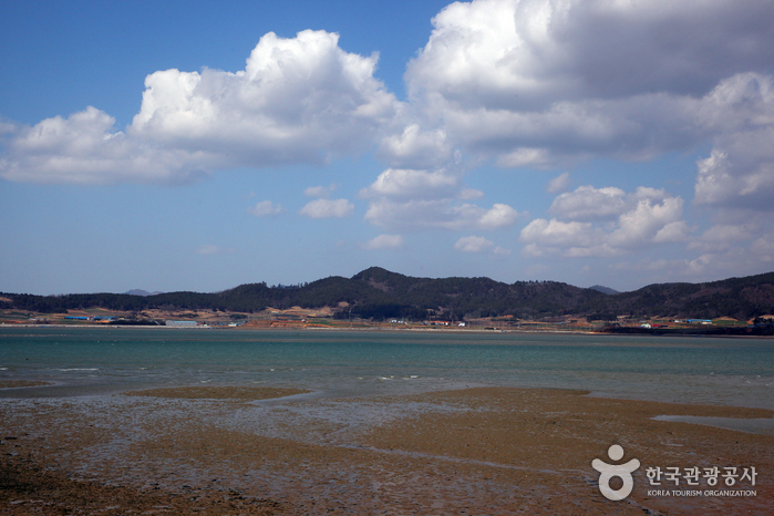 봄바람 머금은 서해