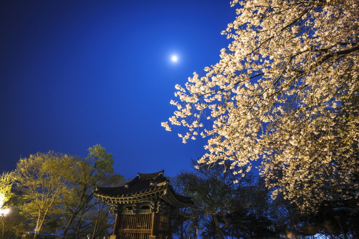 전주 문화재야행 2018 사진9