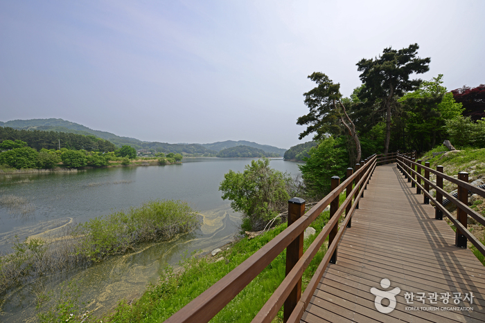 Straße Daecheongho Obaengni (대청호오백리길)