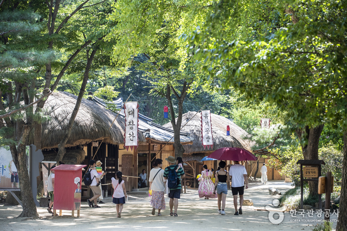 Корейская традиционная деревня Минсокчхон (한국민속촌)6