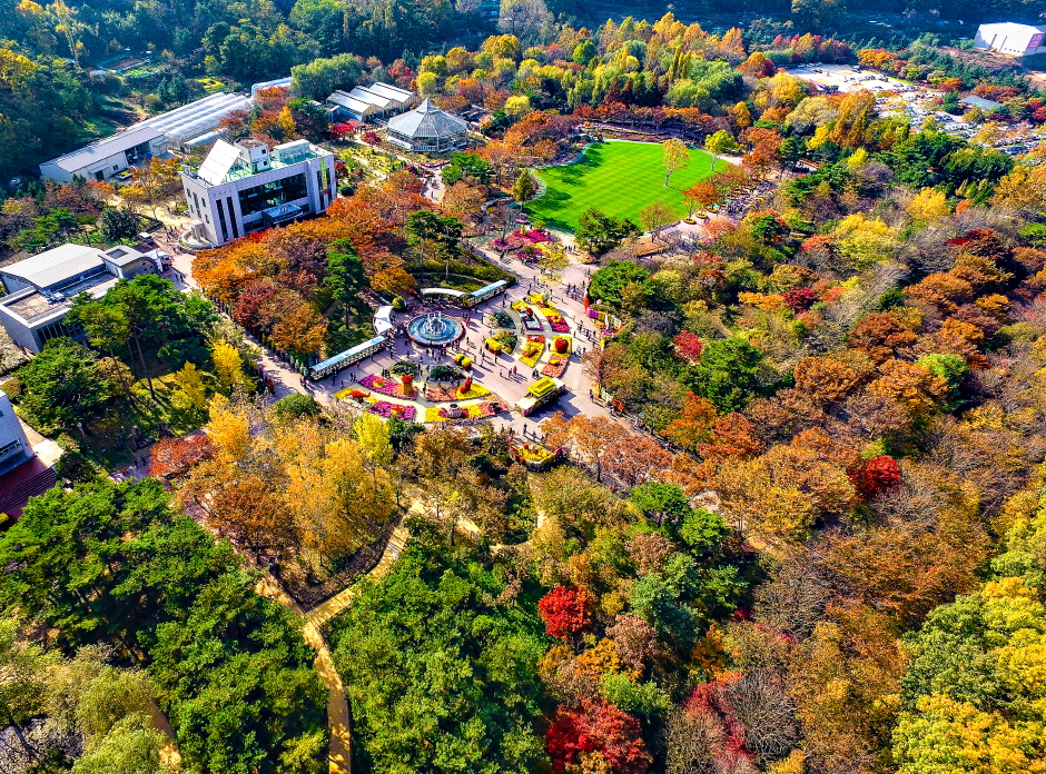 Daegu Arboretum (대구수목원)