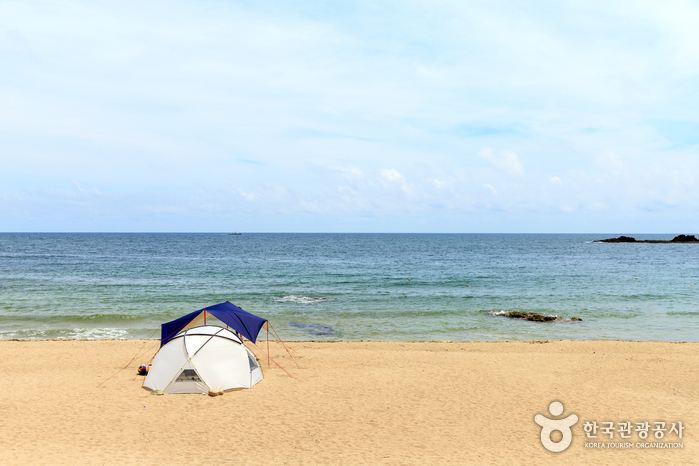 오도1리해수욕장5