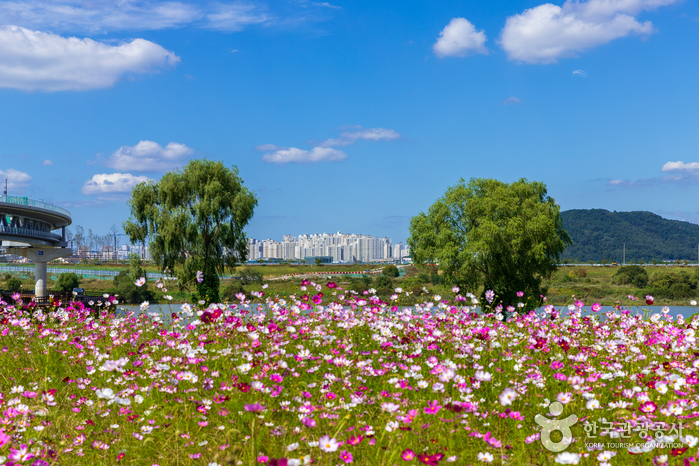 금강수변공원