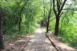 침산공원 (10)